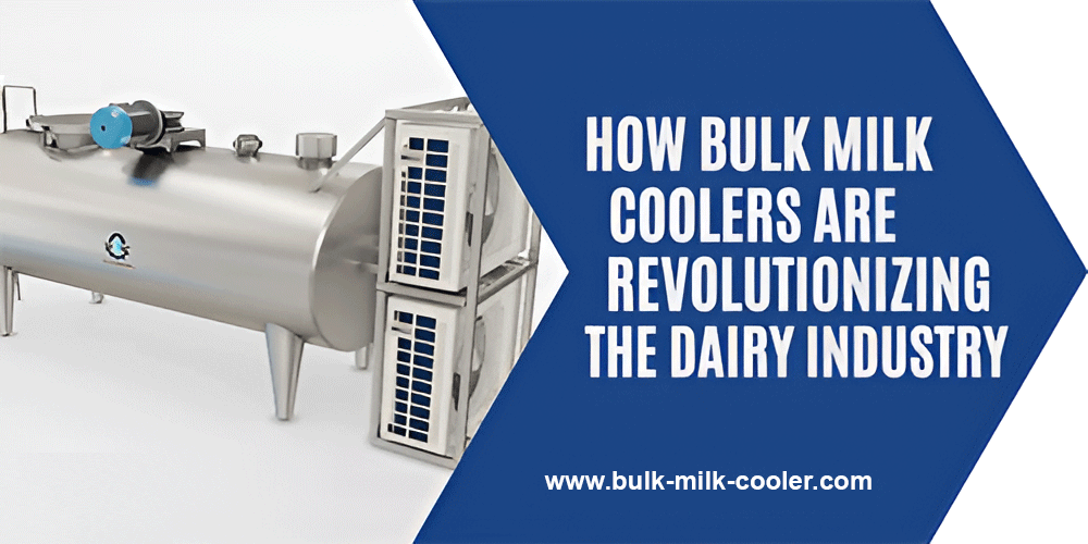 bulk milk cooler supplier in india
